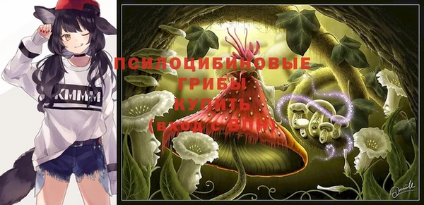 прущий лед Алексин