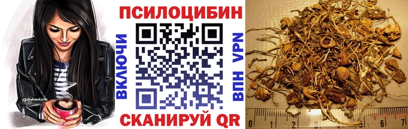 Галлюциногенные грибы Psilocybe hydra зеркало мориарти официальный сайт Берёзовка
